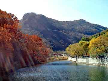 澳门天天好好免费资料，山东图书批发市场